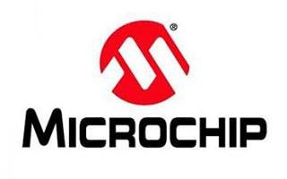 Microchip